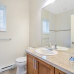 4458 Albert-19