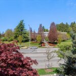 Vancouver-property-views