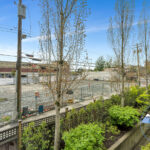 4458 Albert-24