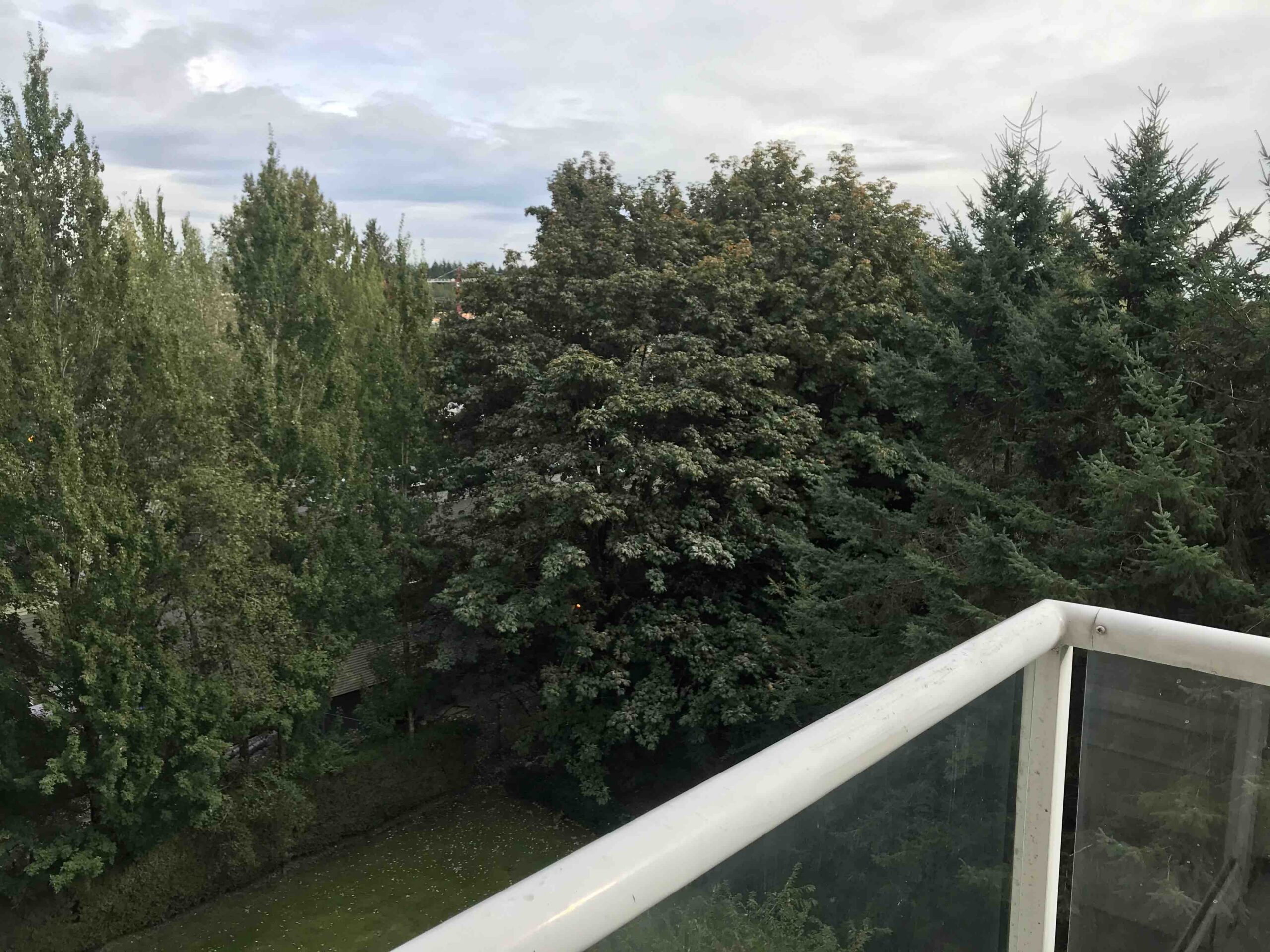 9830 Whalley Blvd, Surrey